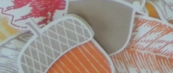 DSCN9273