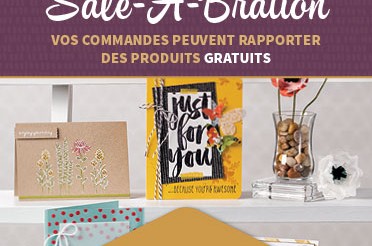 q4_sab_cust_jan0515_fr