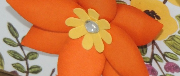 DSCN9249
