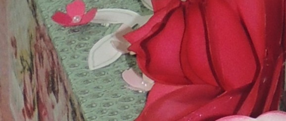 DSCN9527