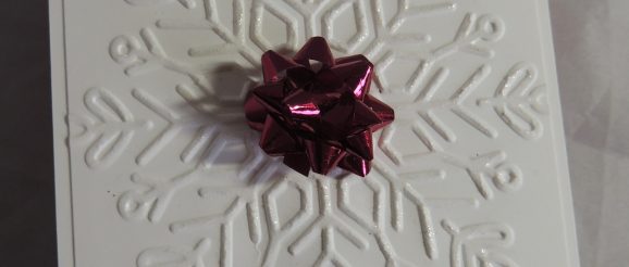 DSCN9973