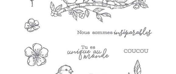 libre comme un oiseau