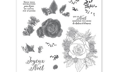rose de Noël